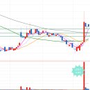 평화양봉산업 이미지