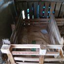 자연부화장 이미지