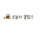 노브랜드버거 경주용황