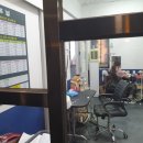 그루밍쇼 이미지