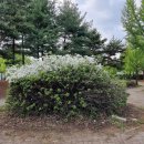 문평공원 이미지