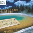 세종의료기 이미지