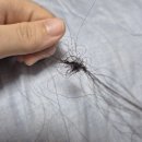 파운더커피 이미지