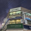 티가나 | 대구 속눈썹펌 내돈내산 솔직후기 티가나뷰티