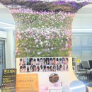 퀸즈헤어 | 양양두피관리 받으면서 컷트·펌까지 만족 퀸즈헤어 후기