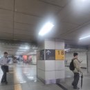 고속터미널 꽃시장 방문기 (가는법 자세히, 꽃가격, 중국 꽃 실패후기, 최애가게 소개, 아침7시 방문)