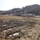 용문농장 이미지