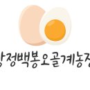 백봉닭농장 이미지