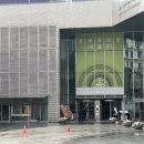 성현동 파랑새작은도서관 | ACC 루피 전시 후기💗 핑크빛 루피 트리존에서 인생샷 남기기🎄📸