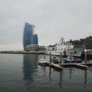 토토의 바다 이미지