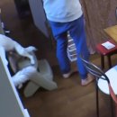 고양이민박 이미지