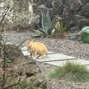 김녕 히든 플레이스 민박 | 🏝️ 제주 조용한 감성 독채 : 김녕히든플레이스 밖거리 🍊