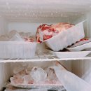 아모르 루시 이미지