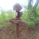 대구복명초등학교 이미지