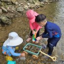 (주)해다올 | 용인계곡 추천 고기리 계곡 주차 주말 아이와 가볼만한 곳