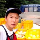 길거리농부 네이버블로그
