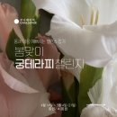 아로마궁테라피 | 도테라 에센셜오일, 궁테라피로 나를 사랑하는 시간 가져보세요. (갱년기, 자궁암, 자궁근종, 생리통...