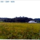 관산리1호 이미지