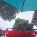 제주해양동물박물관 이미지