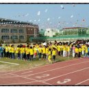 해남서초등학교 이미지