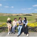 더블루 제주 | 대구프리다이빙 제주아쿠아리움다이빙 해양트레이닝 로그북 #2