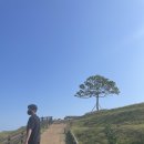 홍주하우스2 이미지
