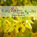 에스제이진 - 화성시 동탄대로9가길 23 | 에스제이진