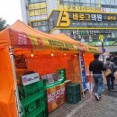 진천천 | 😆동성로 청년주간 후기🙊