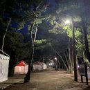 대전해수욕장3 이미지