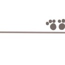 빵먹는 강아지 이미지