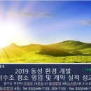 동성개발 티스토리