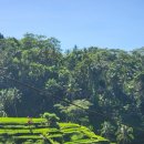 (주)티엠디교육그룹 | 발리 요가 지도자과정 TTC, Kapha Bali Yoga 내돈내산 솔직 후기