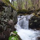 경기둘레길 가평24코스 | [경기둘레길] 24코스 화야산 얼레지꽃구경