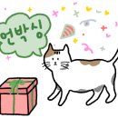 진광세탁 이미지