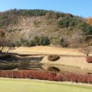 더플레이어스 골프스튜디오 이미지