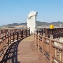 무안황토갯벌랜드 이미지