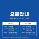 광주 애견유치원 애견호텔 플레이멍 이미지