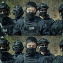 모범사격
