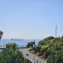 더존비앤씨티(강아지숲)/베이커리 선 | [남아공, 케이프타운] 평화로운 주말의 Oranjezicht City Farm Market, 후트베이에서 물개섬!