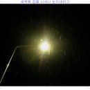 유별난 가위 이미지