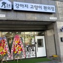강아지고양이편의점새롬