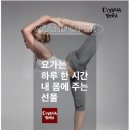 요가(야간반) 이미지