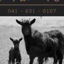 사슴공인중개사사무소 이미지