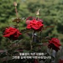 참을성