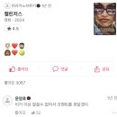 에브리캣 | 2025 정리하기—왓챠피디아 편