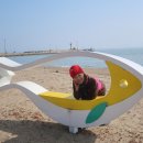 남파랑78 Daum카페