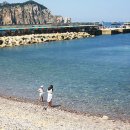 흑산도 Daum카페