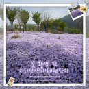 지리산생태체험단지 이미지