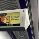 도연커피 | 돌고 돌아 나무 도연