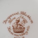 도그 블라썸 이미지